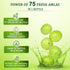 Baidyanath Vansaar Amla Juice
